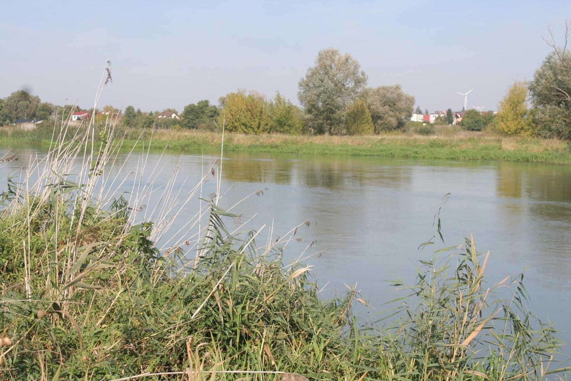 Kolo Apartament Bagian luar foto